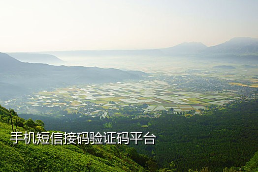 中国短信接码验证平台