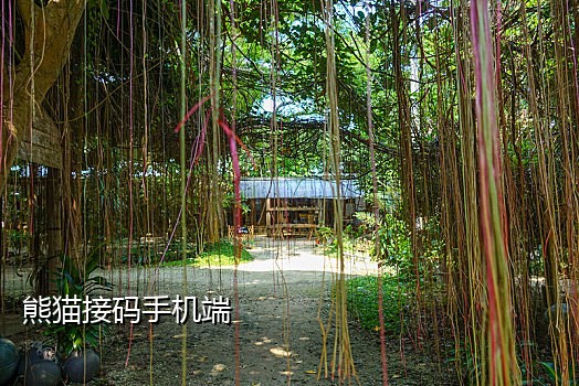 只知道手机号如何接码