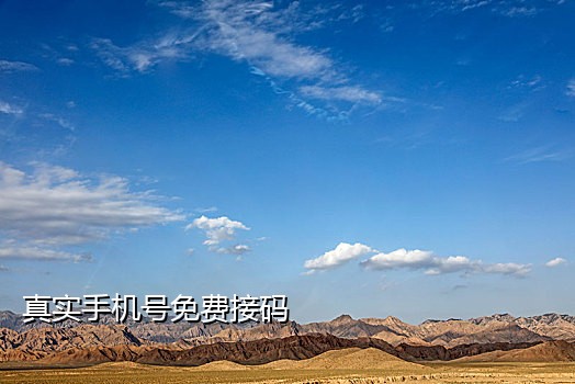 长期接码手机号