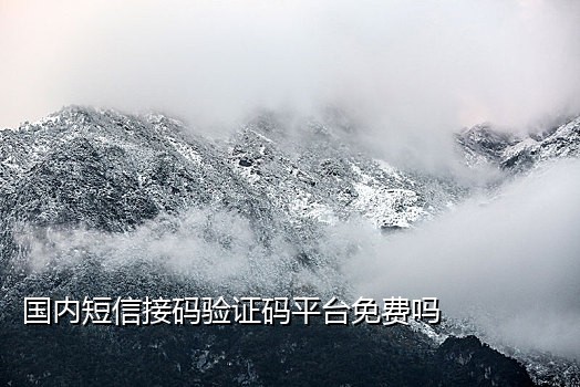 云短信免费接码
