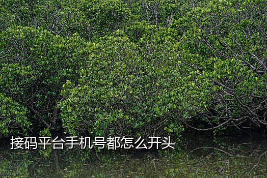 美国手机号短信接码平台