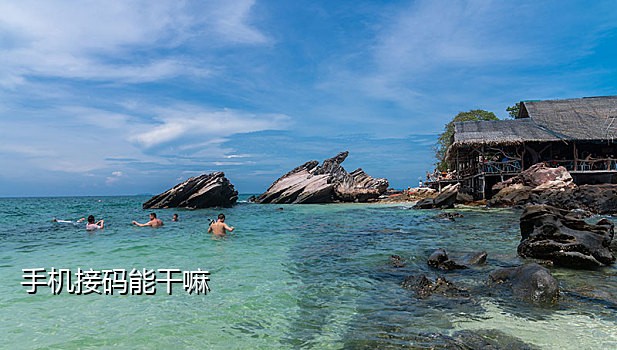 语音手机接码平台