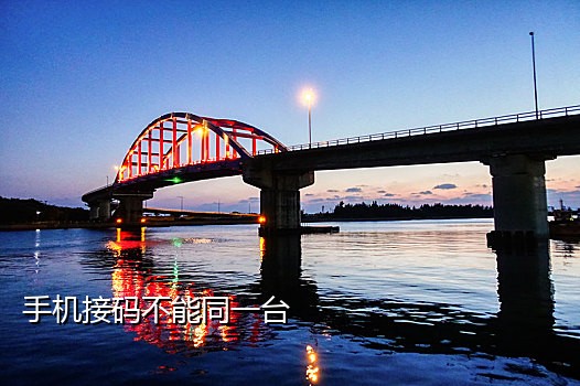 语音加短信接码