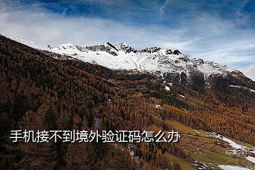 美国接码支付宝靠谱吗