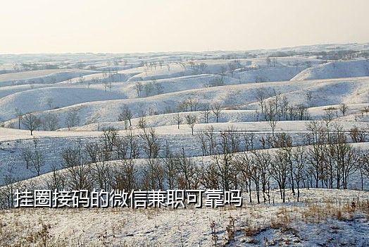 椰子云接码短信验证码平台