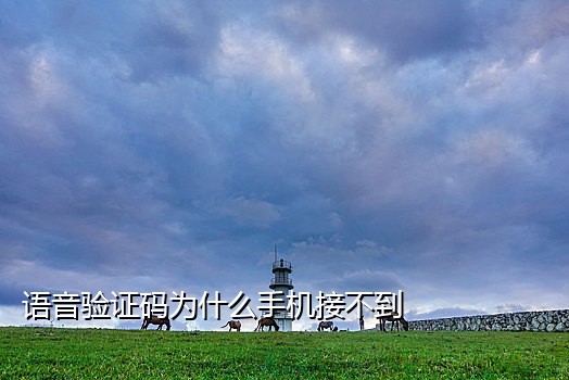 讯码短信接码平台大全