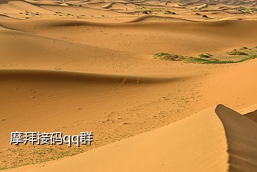 需要手机卡接验证码怎么办