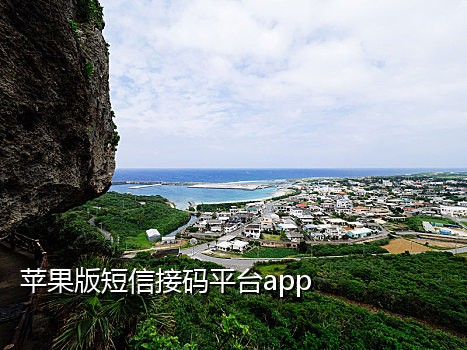 新浪微博接码注册