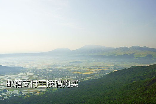 新蓝鸟接码手机客户端io