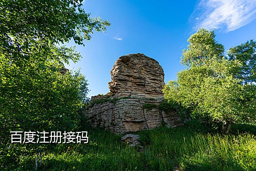 小号短信接码
