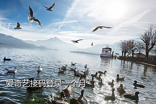 西瓜视频接码