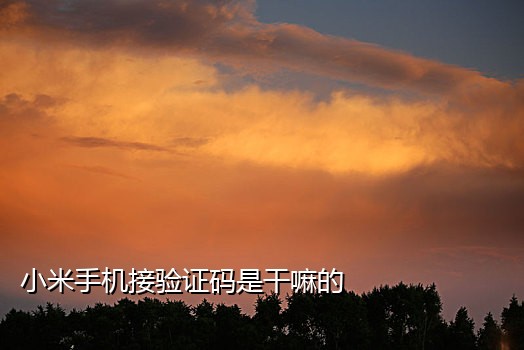 芒果云接码百度云