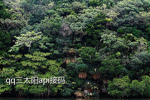 微信接验证码频繁