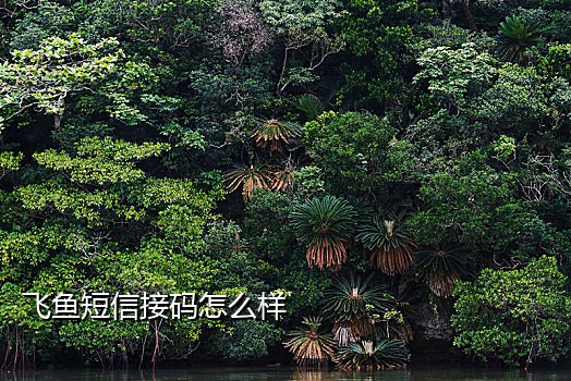 微信换绑卡接码器
