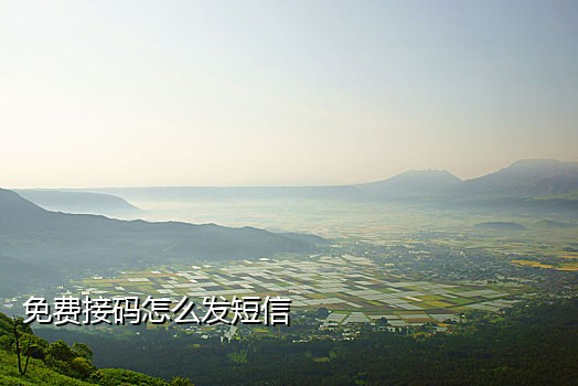 微信登录验证码接码平台