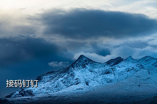 微信登录接码什么意思啊