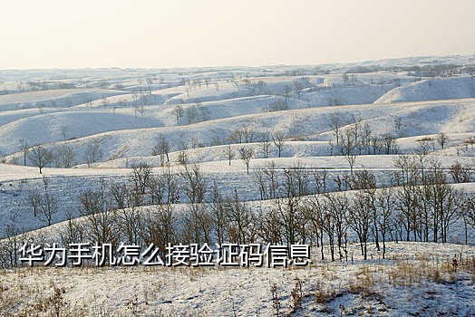 微信登录接不到验证码