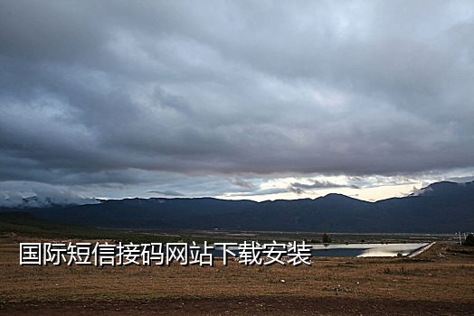 外国手机号接码软件叫什么