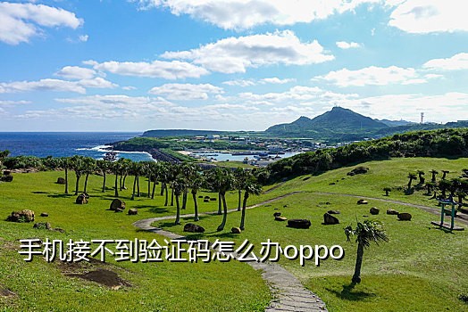淘码接码手机验证码平台