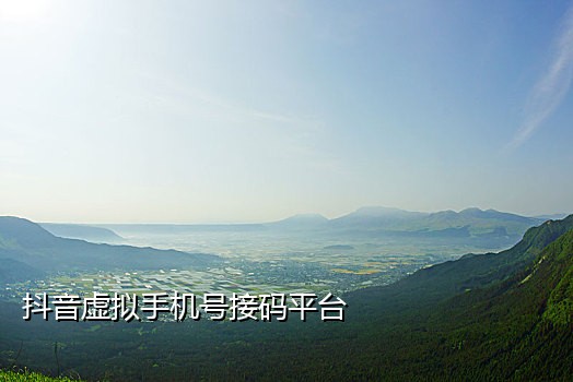 流星接码短信平台官网查询