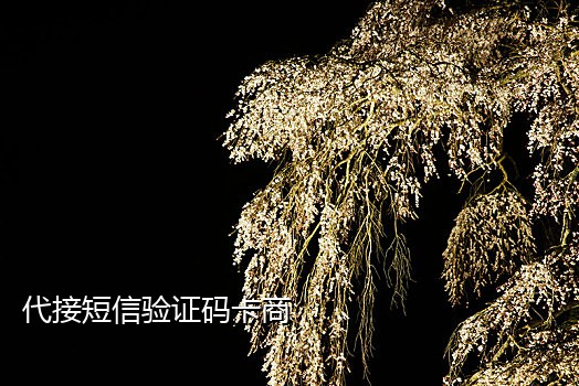 淘宝卡商接码平台是什么