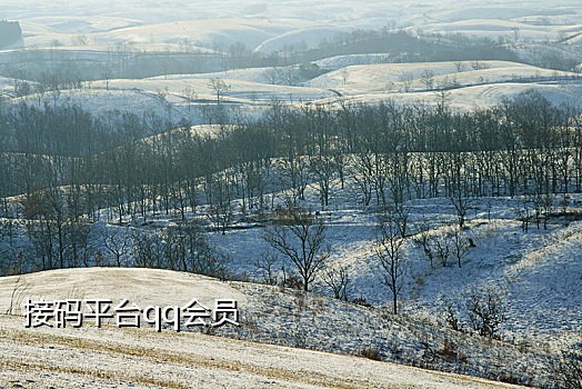 淘宝京东拉新接码平台