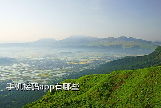 手机自动接码软件下载