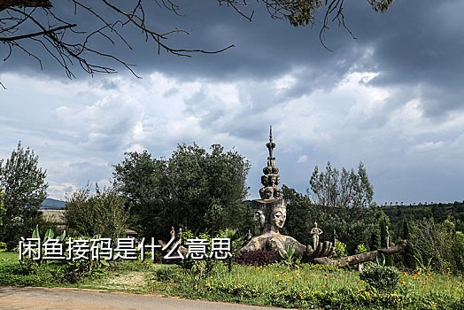 手机中的接码平台