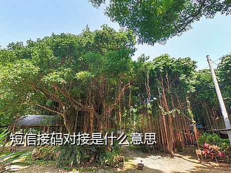 手机怎么有些接不到验证码