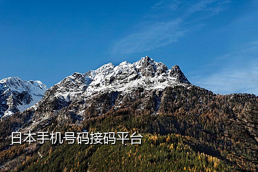 手机语音验证码接不到电话