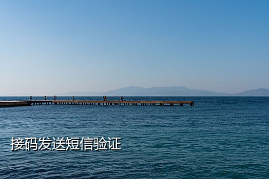 手机要接码怎么处理