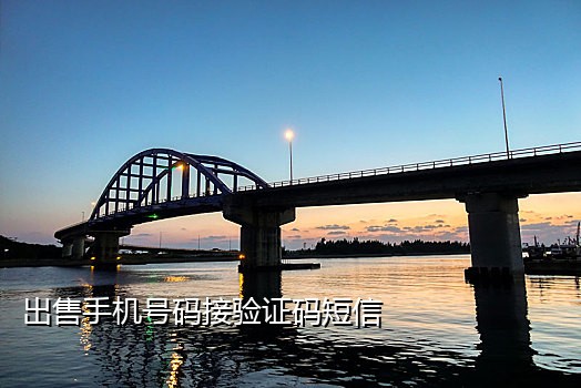 手机验证接码多少钱