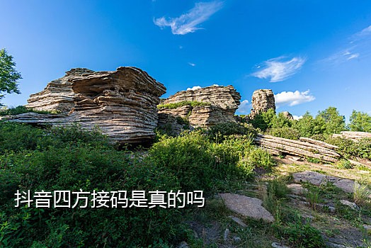 手机虚拟接码器