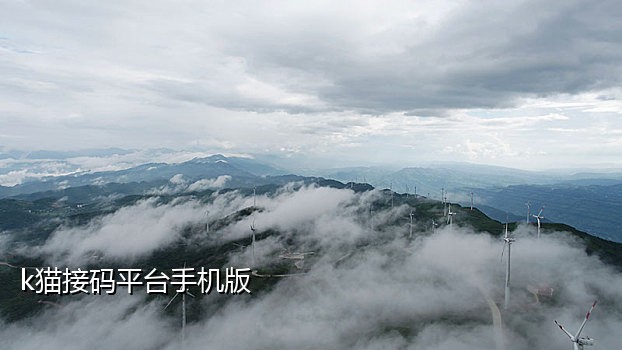 手机软件接码平台