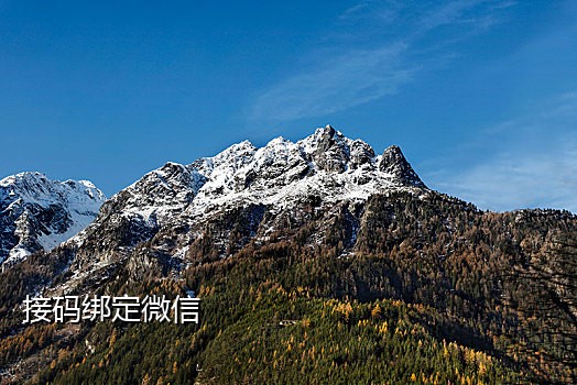 连信接码注册平台