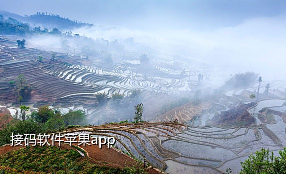 手机接码赚钱项目怎么做