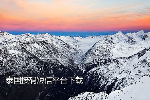 连信app接码