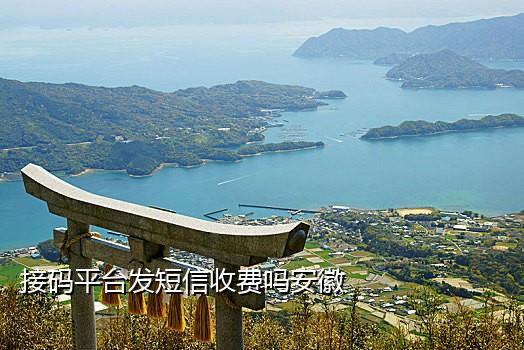 手机号接验证码免费