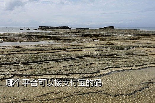 手机短信接码设备怎么设置
