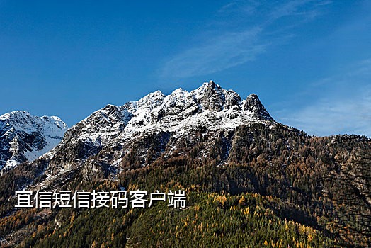 手机迟迟接不到验证码