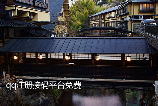 苹果手机版接码平台