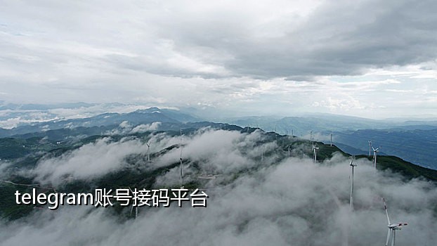 苹果接码渠道