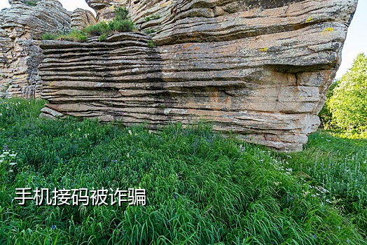 苹果接码平台秒嫌