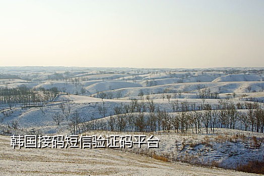 平板电脑接不到短信验证码