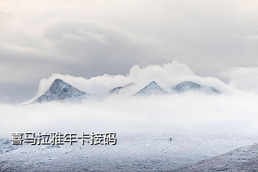 那个接码平台能发短信