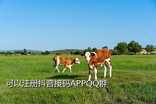 中国代接短信验证码软件下载官网