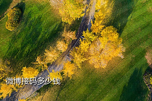 美团可以接码拉新吗