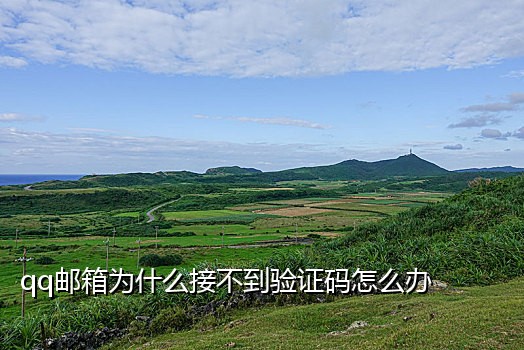 来信接码官网手机版