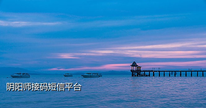 快手验证码接码