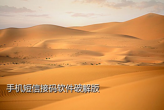 快手美国接码白